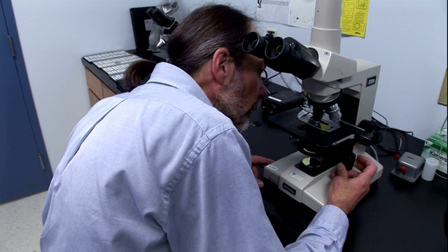 法医科学家使用显微镜。视频下载