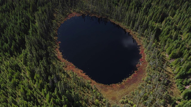 鸟瞰北方森林自然和湖泊在秋季，魁北克，加拿大视频下载