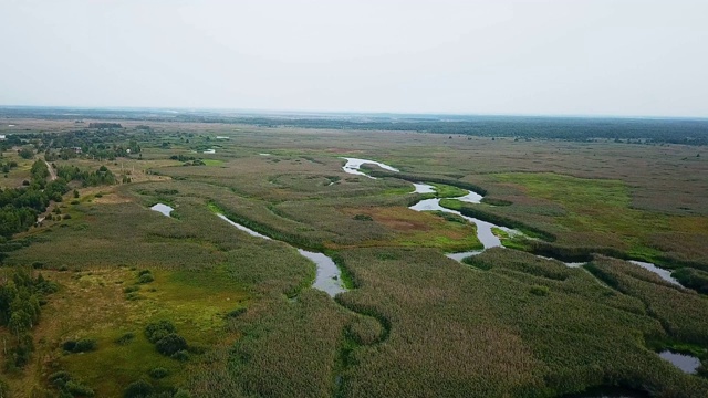 湿地河流鸟瞰图视频素材
