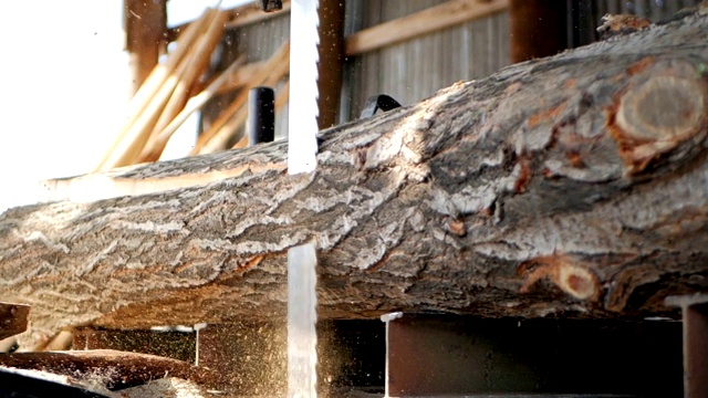 SLO MO锯片切割一根巨大的原木视频素材