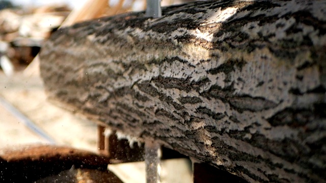 SLO MO锯片切割一根巨大的原木视频素材