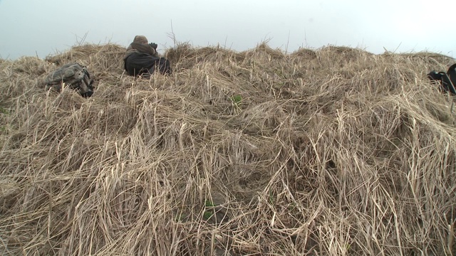 一个男人侧身躺在高高的草丛中，用双筒望远镜看着。视频下载