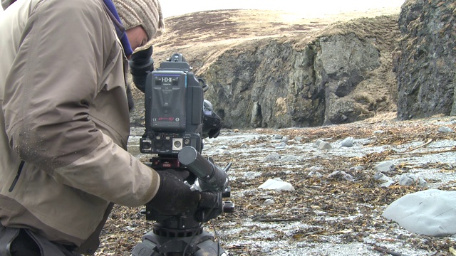 一位电影摄影师拍摄了一只灰熊在多石海岸上的活动。视频下载