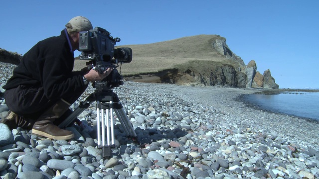 在岩石海滩上，一只灰熊慢慢地向一位摄影师走去。视频下载