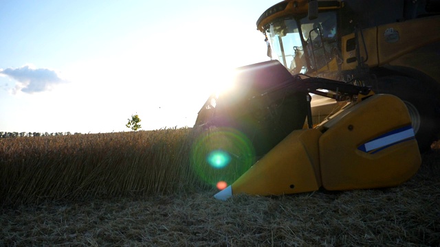 在明亮的阳光背景下，现代谷物收割机收集小麦作物的侧视图。骑着马穿过乡间割大麦的茎秆。收获或农学的概念。慢动作视频下载