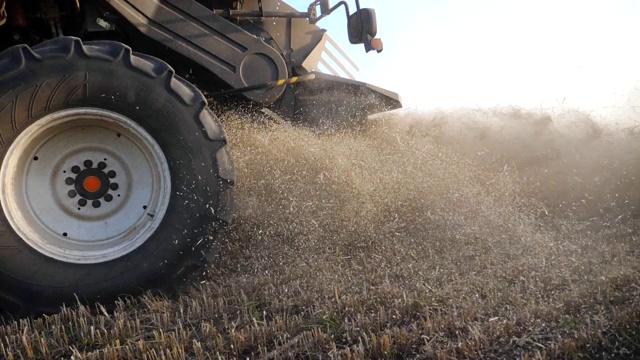 谷物收割机在田间工作。把收割成熟小麦和抛秸秆结合起来。收获或农学的概念。慢动作侧视图特写视频素材