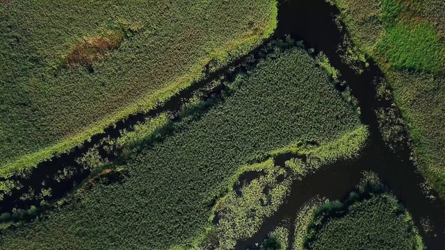 湿地俯视图视频素材