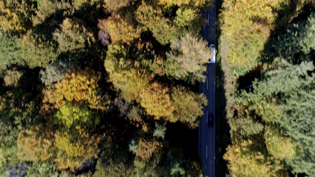 秋天里，货车在森林路上行驶视频下载