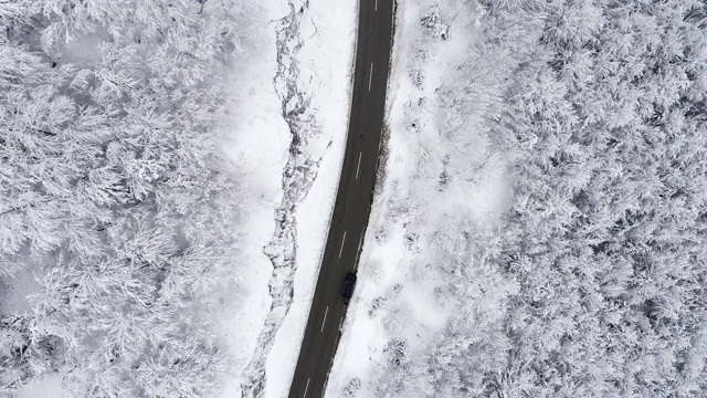 从上面的柏油路穿过雪域森林视频素材