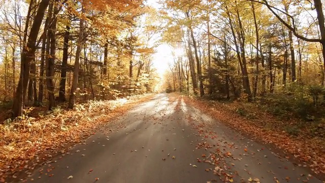 新罕布什尔州白山的秋天路视频素材