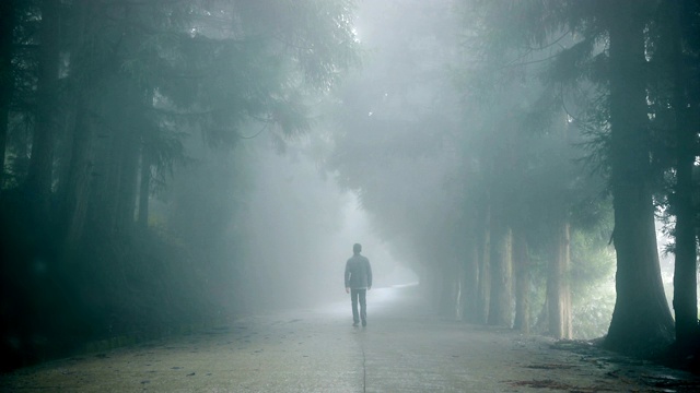 一个人走在雾蒙蒙的路上视频素材