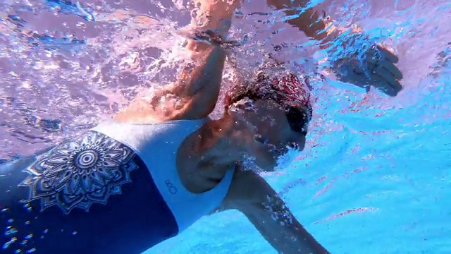 水下底部的女子游泳自由泳风格在游泳池视频下载