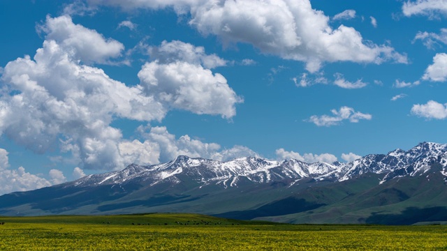 吉尔吉斯斯坦一个被黄花覆盖的山谷的时间流逝视频素材