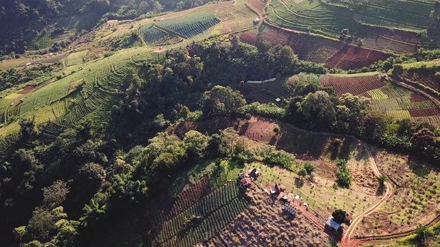 无人机拍摄的泰国北部山区附近稻田的鸟瞰图视频素材