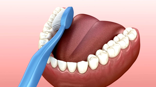 刷牙、清洁过程。口腔卫生的三维精确医学动画。视频素材