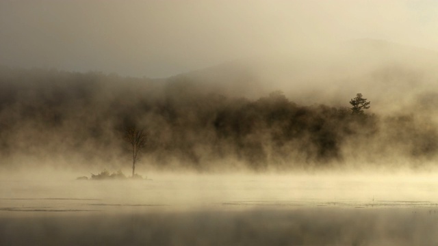 佛蒙特州基林顿的一个小池塘上的秋雾视频下载