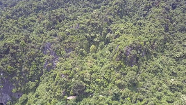俯瞰覆盖公园老山的热带森林视频素材