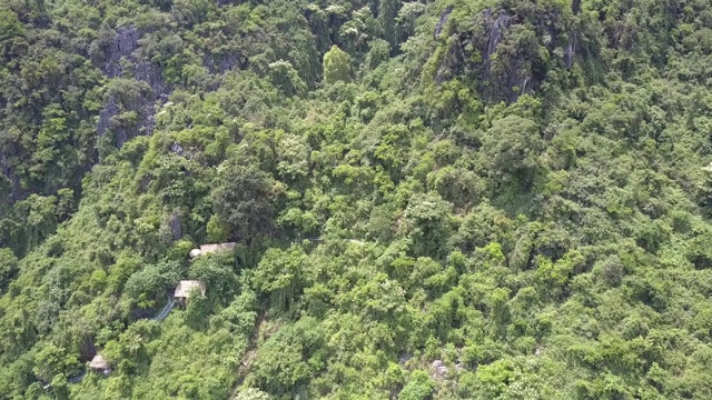 山与房屋隐藏在深丛林鸟瞰图视频素材
