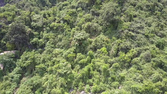 山上覆盖着森林和山丘上的房屋视频素材