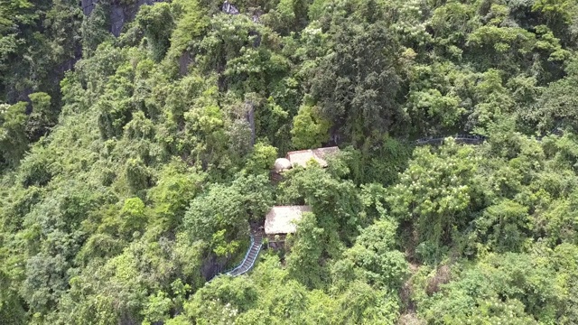 国家公园鸟瞰图中丛林中的寺庙视频素材