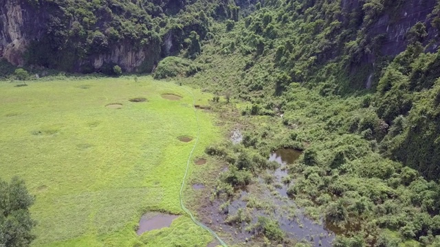 空中运动的热带沼泽与湖泊和树木视频下载