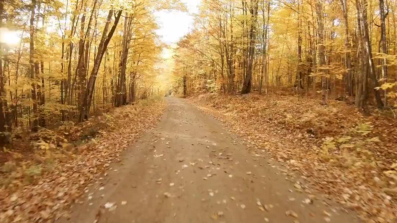 新罕布什尔州白山的秋天路视频下载