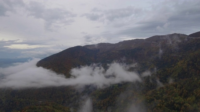 无人机镜头的飞行通过一些低云，薄雾和雾在高山秋季森林和山谷。视频素材