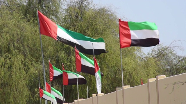 许多明亮的阿拉伯联合酋长国国旗在阳光下飘扬，为国庆日做准备。视频素材