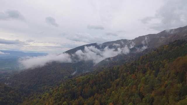 无人机镜头的飞行通过一些低云，薄雾和雾在高山秋季森林和山谷。视频素材