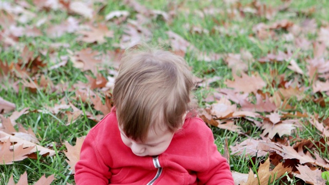 小男孩坐在草地上视频素材