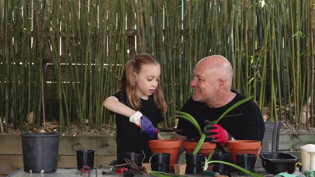 快乐的父亲和女儿一起园艺视频下载