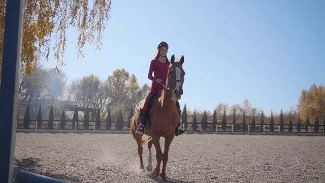 一个年轻的白人女孩在粉红色的衣服和骑马头盔跳过障碍的棕色优雅的马和骑马离开的镜头。专业女子户外马术训练。视频下载