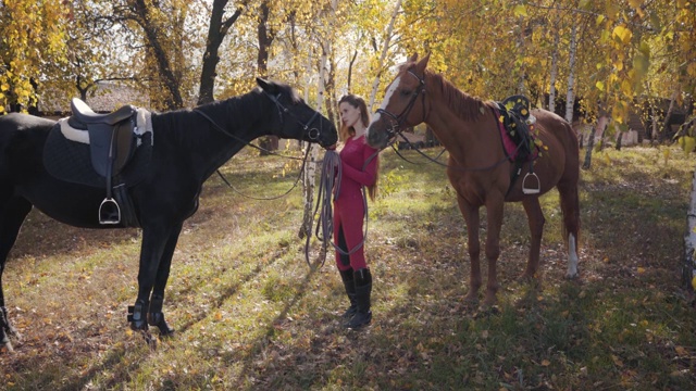 漂亮的白种女骑手和两匹马站在秋天的森林里。穿着粉红色衣服的年轻女子看着镜头微笑着。视频下载