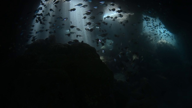水下洞穴和潜水员。视频素材