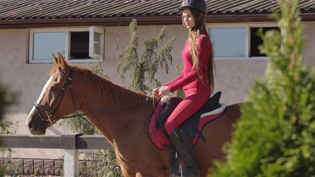 黑发的白人女骑手坐在优雅的棕色马的背上。肖像的一个骑师在粉红色的衣服和骑马头盔在马鞍上。电影4k镜头ProRes总部。视频下载