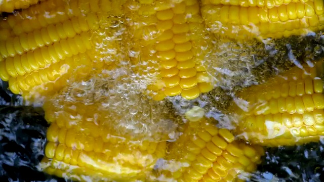 用开水煮甜玉米的慢镜头是健康食品，特写微距镜头视频素材