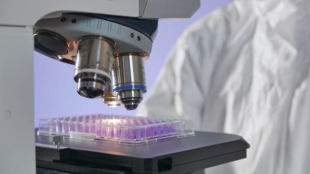 科学家在显微镜下安装一个医用板以研究假单胞菌和危险的细菌视频素材
