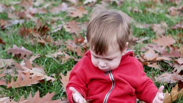 小男孩坐在草地上视频素材