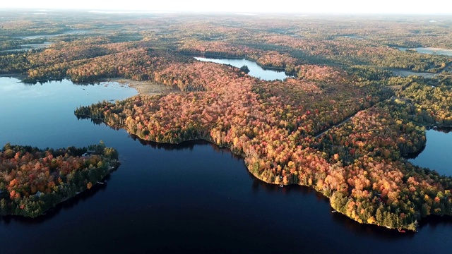 色彩缤纷的秋天森林和蓝色的湖，空中无人机的顶部视图视频下载