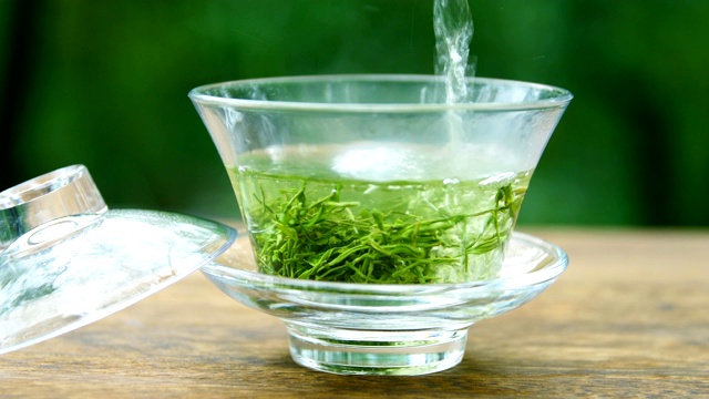 喝中国绿茶视频下载