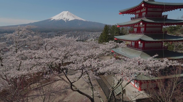 日本山梨县的富士山和樱桃塔视频下载