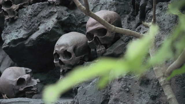 可怕的万圣节古代人类头骨在丛林视频下载