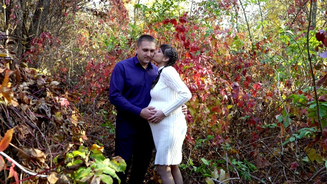 在一个阳光明媚的日子里，一个怀孕的女孩和她的丈夫站在大自然中，在明亮的秋叶背景下摆姿势。他们拥抱、微笑和亲吻。家庭幸福的观念。肖像,4 k。视频下载