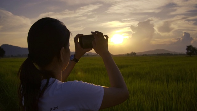 一名女子在日落休息时间用智能手机拍摄一片稻田的后视镜视频下载