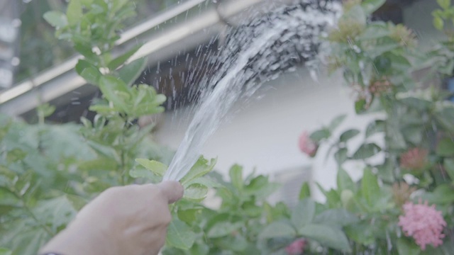 奶奶在房前给植物浇水。视频素材