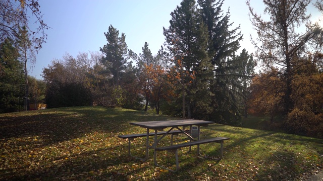 走近公园中央的一张野餐桌视频素材