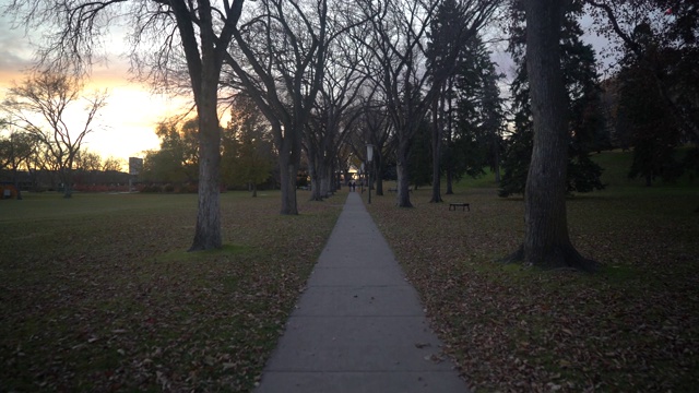 日落时在公园的小路上散步视频素材