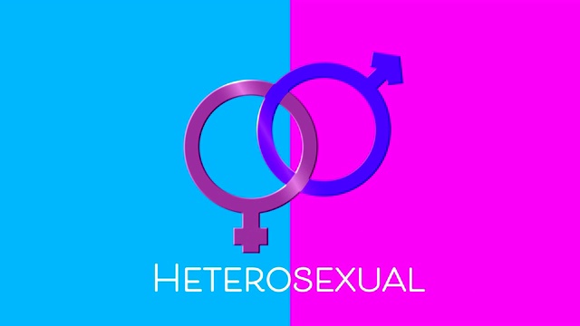 异性恋文本和男性和女性性别符号在粉红色和蓝色的背景视频下载