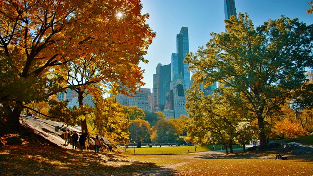 中央公园。纽约。背景中的商务区视频下载