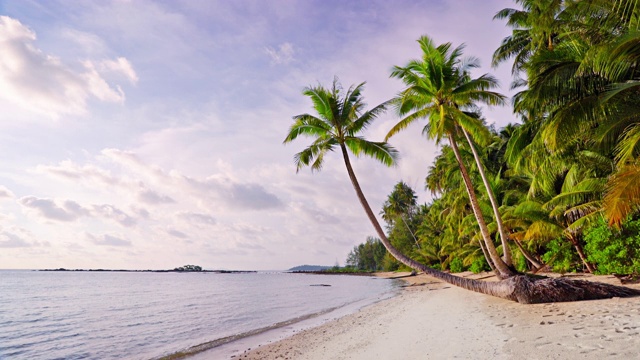热带海滩上的棕榈树。蓝色的大海,天空。视频素材